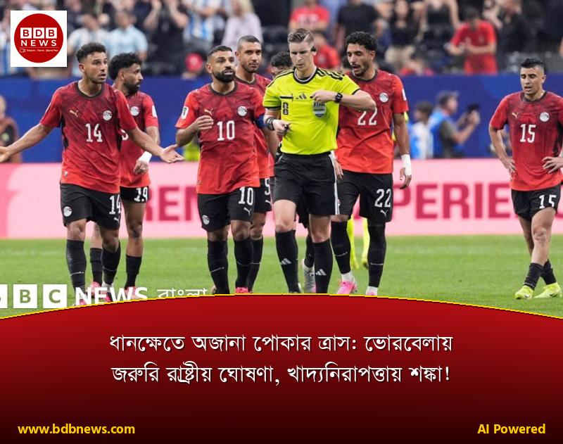 ধানক্ষেতে অজানা পোকার ত্রাস: ভোরবেলায় জরুরি রাষ্ট্রীয় ঘোষণা, খাদ্যনিরাপত্তায় শঙ্কা!